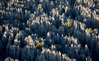 Illustration for article titled The bizarre limestone spires of Madagascar